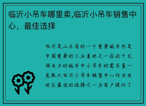 临沂小吊车哪里卖,临沂小吊车销售中心，最佳选择