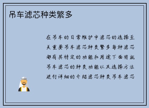 吊车滤芯种类繁多