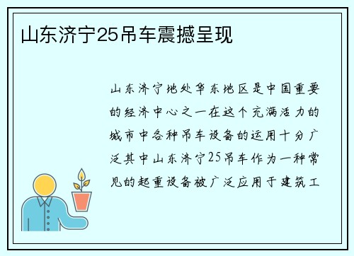 山东济宁25吊车震撼呈现