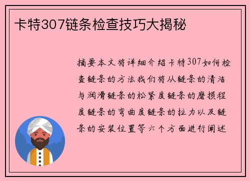 卡特307链条检查技巧大揭秘