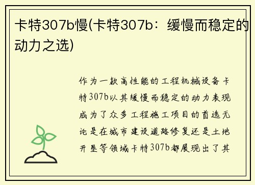 卡特307b慢(卡特307b：缓慢而稳定的动力之选)