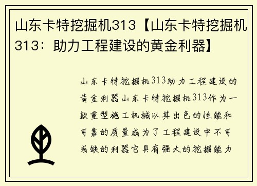 山东卡特挖掘机313【山东卡特挖掘机313：助力工程建设的黄金利器】